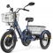 Электровелосипед GREEN CITY e-ALFA Trike